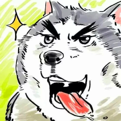 宠物情头沙雕搞笑一对两张