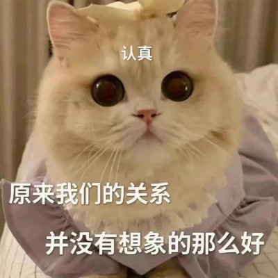 表情包头像