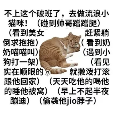 表情包头像
