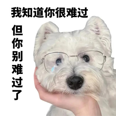 表情包头像