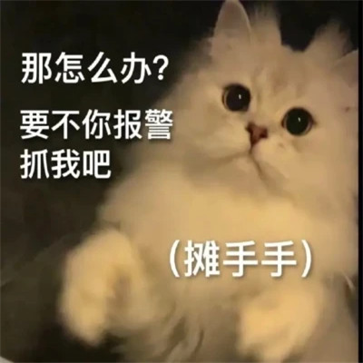 表情包头像搞笑图片
