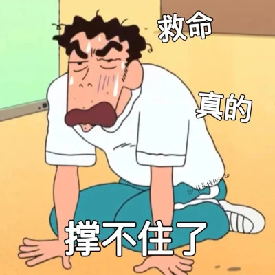 适合当头像的沙雕表情包