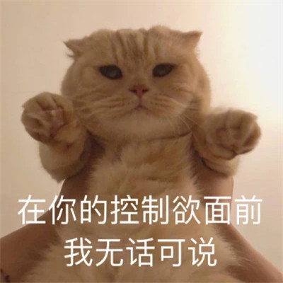 网络表情包带字图片