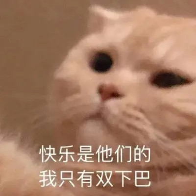 网络表情包带字图片