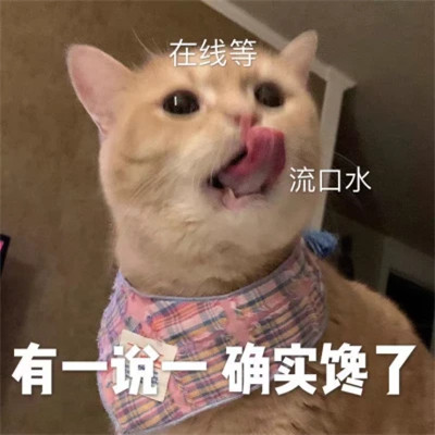 网络表情包带字图片