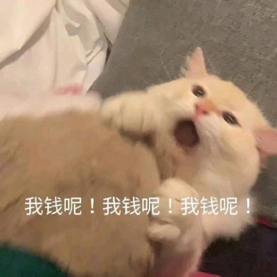 网络表情包带字图片