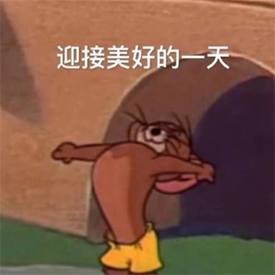 网络表情包带字图片