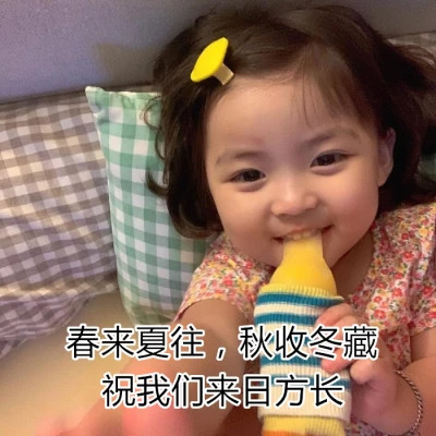 网络表情包带字图片