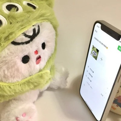 微信毛绒玩具头像可爱图片