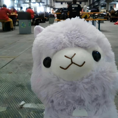 超火网红可爱公仔头像图片