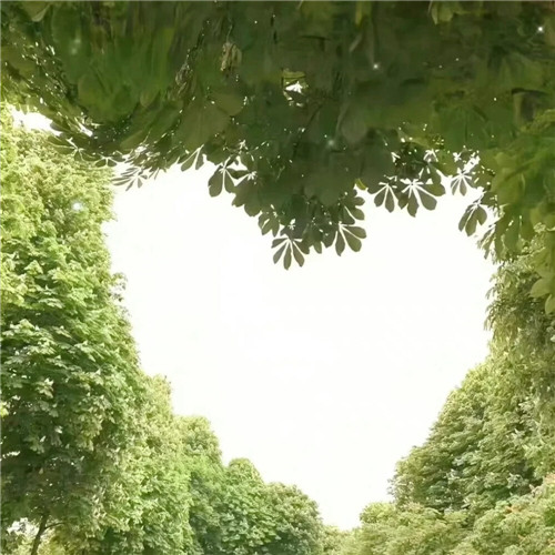 运气越来越好的微信头像
