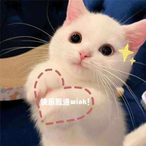 运气越来越好的微信头像