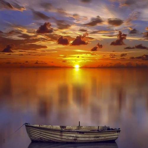 简单成熟低调的微信头像图片