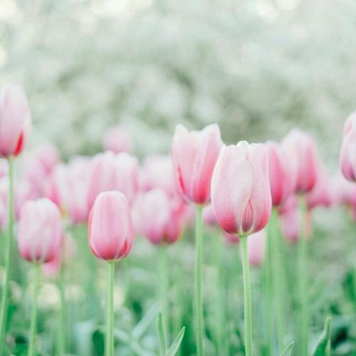 简单成熟低调的微信头像图片