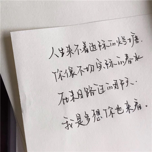 微信头像带字2025新款