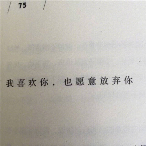 微信头像带字2025新款