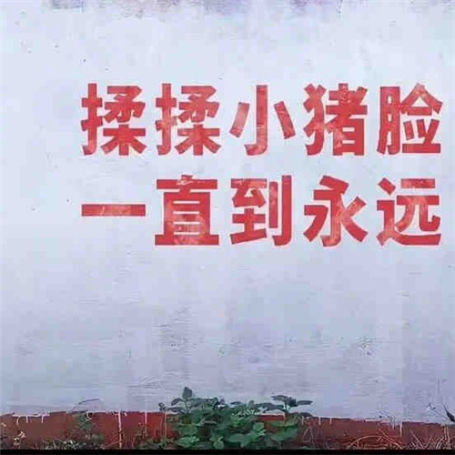 微信头像带字2025新款