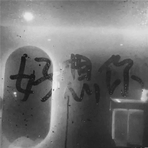 微信头像2025最新款免费