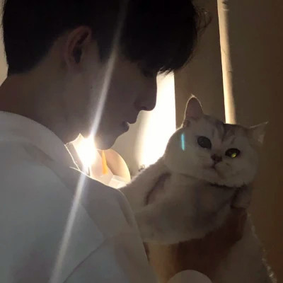 2025新款好看的头像男