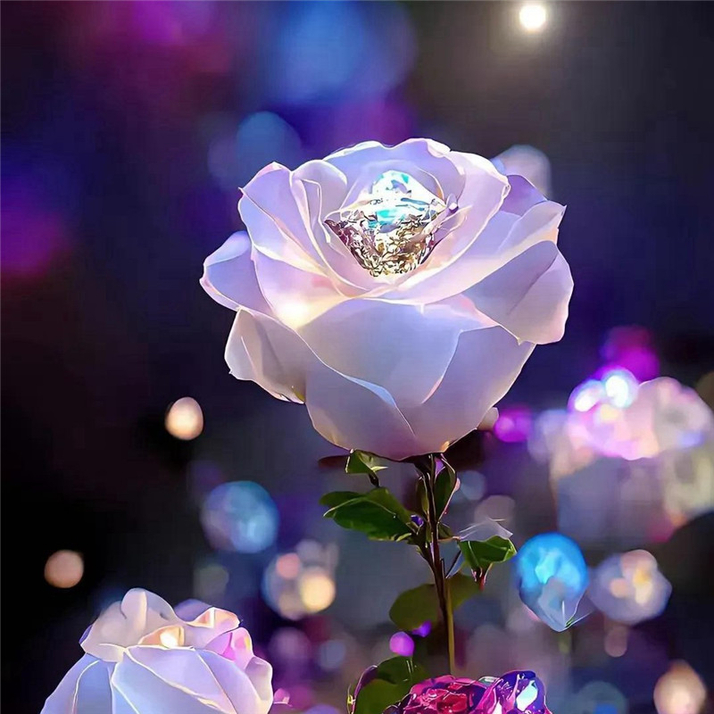 唯美梦幻玫瑰花头像图片