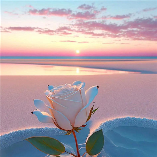 浪漫心形头像
