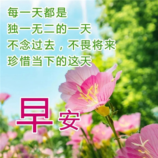 早上好图片 最新图片头像