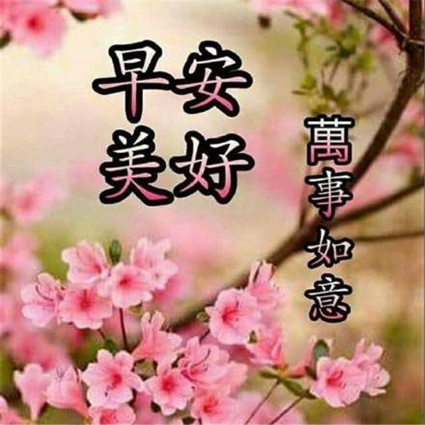 早上好图片 最新图片头像