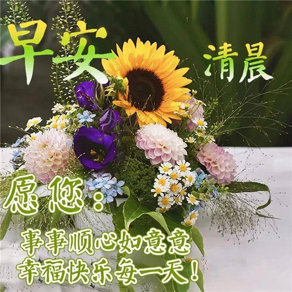 早上好图片 最新图片头像
