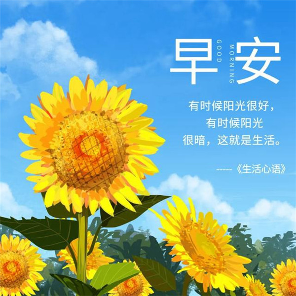 早上好图片 最新图片头像