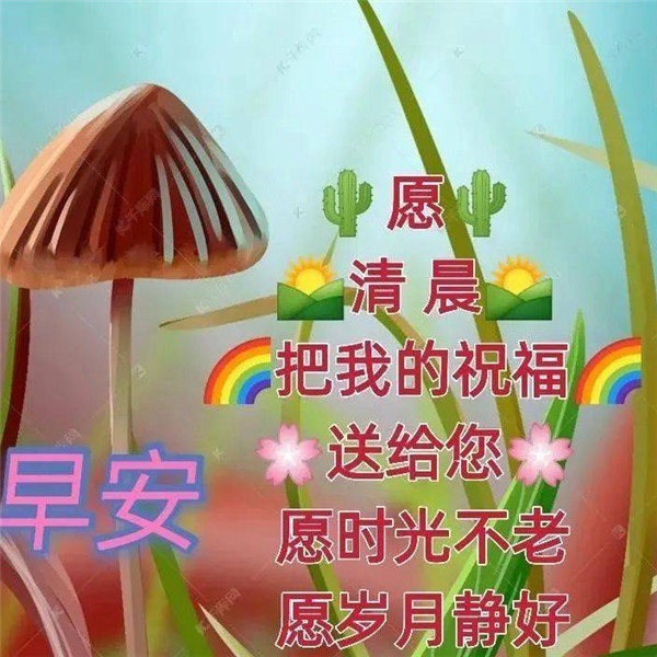 早上好图片 最新图片头像
