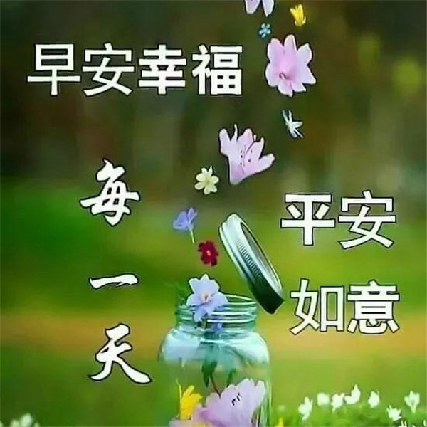 早上好图片 最新图片头像