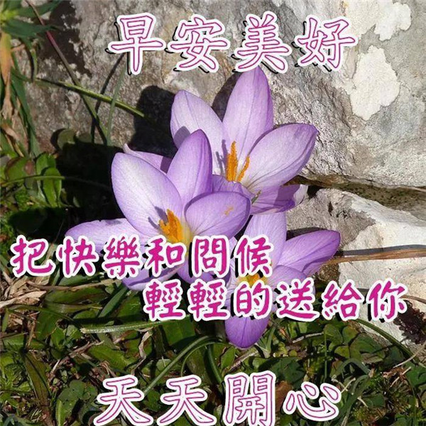 早上好图片 最新图片头像