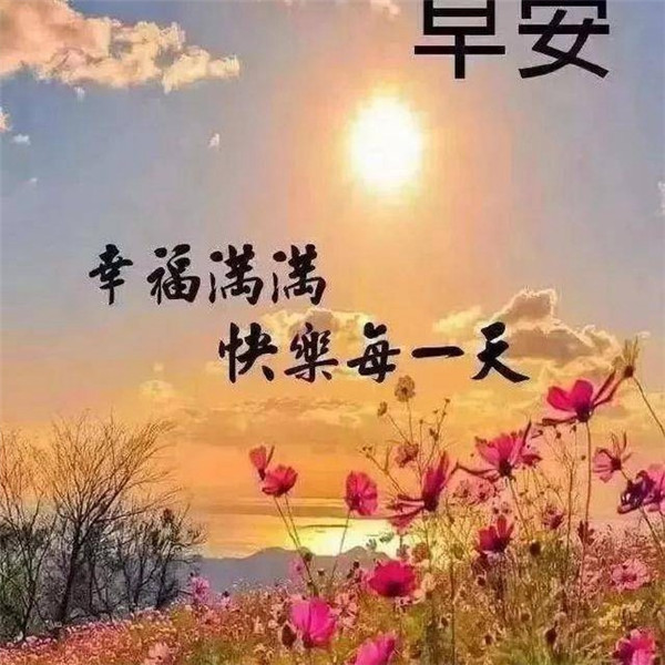 早上好图片 最新图片头像