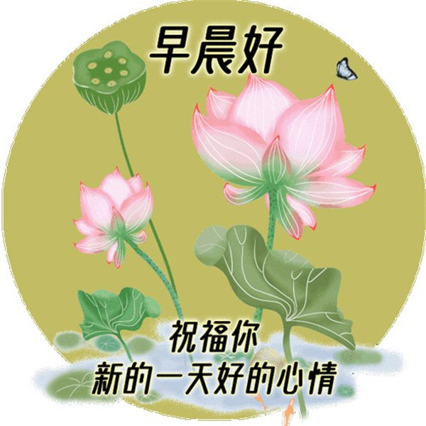 早上好图片 最新图片头像