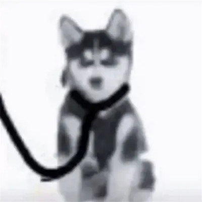 不想公开的动漫情侣头像