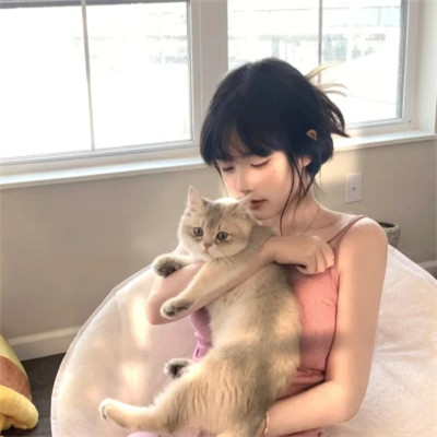 女生抱猫头像高清图片