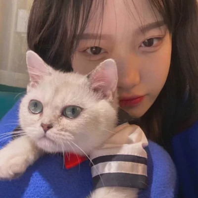 女生抱猫头像高清图片