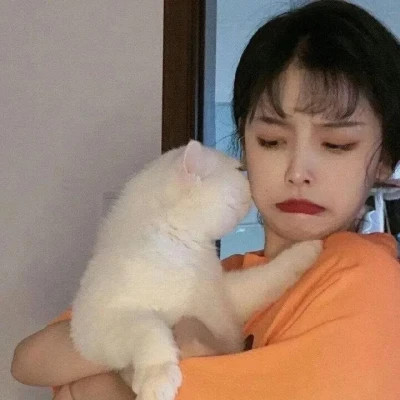 女生抱猫头像高清图片