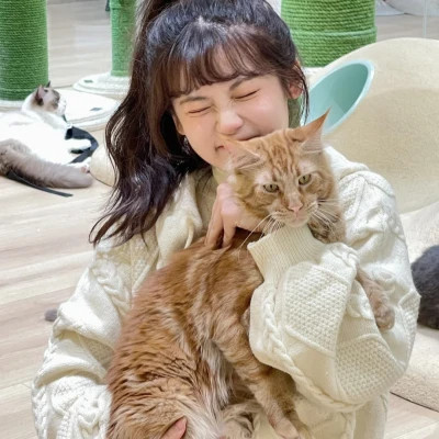 女生抱猫头像高清图片