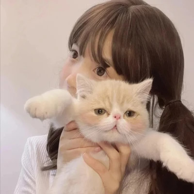女生抱猫头像高清图片