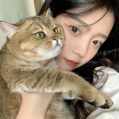 女生抱猫头像高清图片