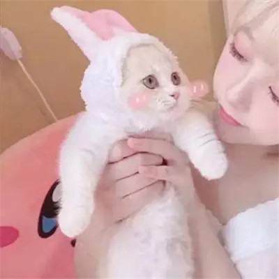 女生抱猫头像高清图片
