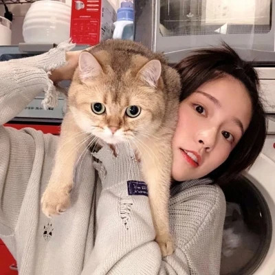 女生抱猫头像高清图片