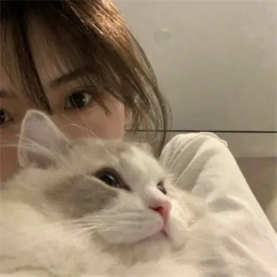 女生抱猫头像高清图片