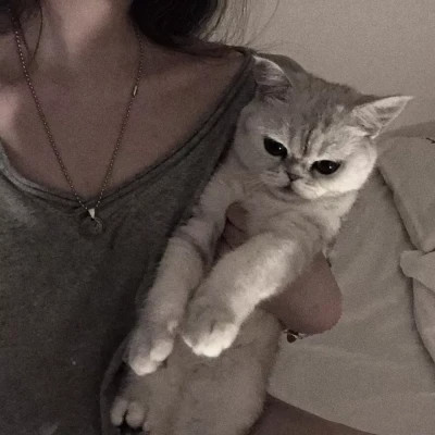 女生抱猫头像高清图片
