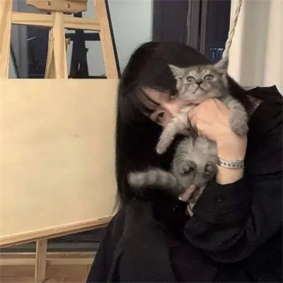 女生抱猫头像高清图片