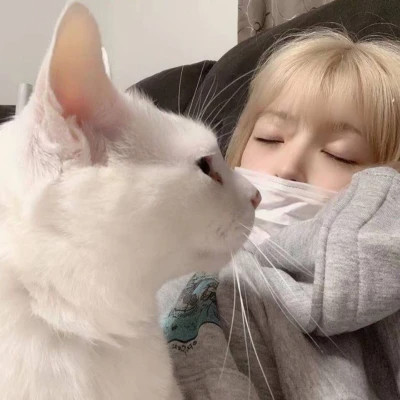女生抱猫头像高清图片