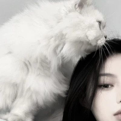 女生抱猫头像高清图片