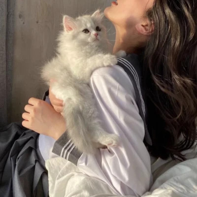 女生抱猫头像高清图片
