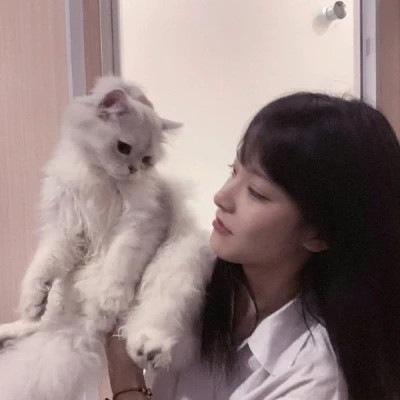 女生抱猫头像高清图片